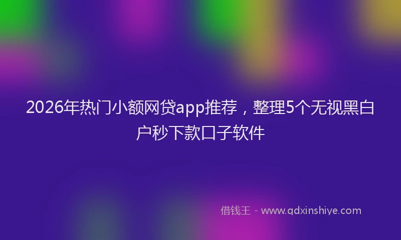 2026年热门小额网贷app推荐，整理5个无视黑白户秒下款口子软件