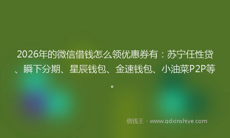 2026年的微信借钱怎么领优惠券有:苏宁任性贷、瞬下分期、星辰钱包、金速钱包、小油菜P2P等。