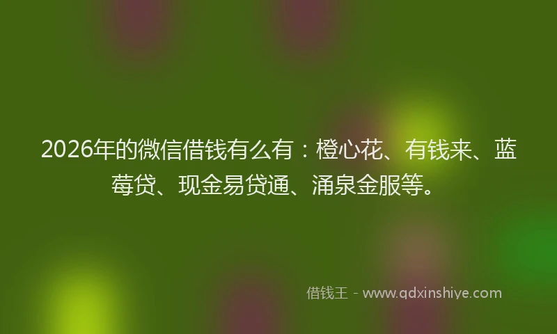 2026年的微信借钱有么有：橙心花、有钱来、蓝莓贷、现金易贷通、涌泉金服等。
