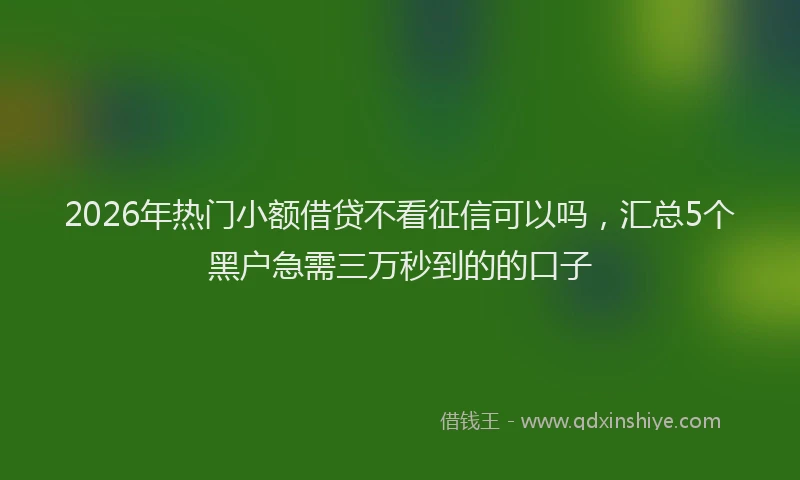 2026年热门小额借贷不看征信可以吗，汇总5个黑户急需三万秒到的的口子