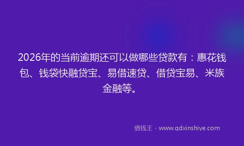2026年的当前逾期还可以做哪些贷款有：惠花钱包、钱袋快融贷宝、易借速贷、借贷宝易、米族金融等。