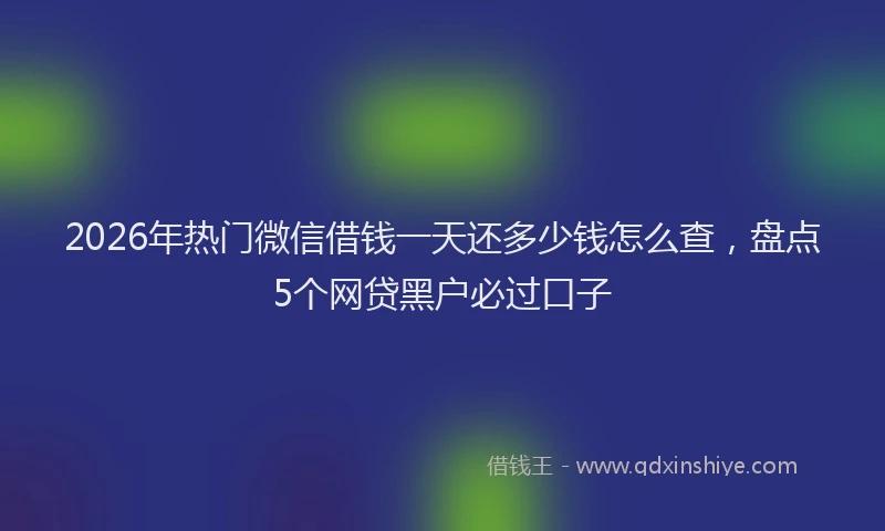 2026年热门微信借钱一天还多少钱怎么查，盘点5个网贷黑户必过口子