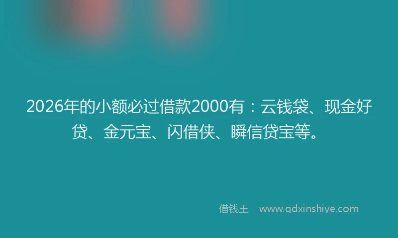 2026年的小额必过借款2000有：云钱袋、现金好贷、金元宝、闪借侠、瞬信贷宝等。