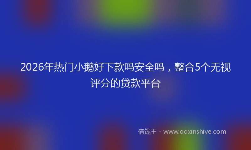 2026年热门小鹅好下款吗安全吗，整合5个无视评分的贷款平台