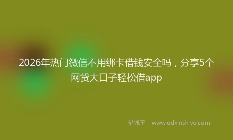 2026年热门微信不用绑卡借钱安全吗，分享5个网贷大口子轻松借app