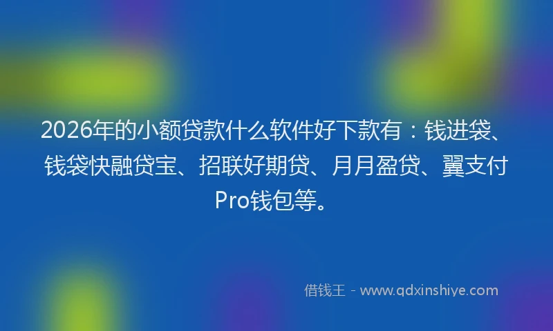 2026年的小额贷款什么软件好下款有：钱进袋、钱袋快融贷宝、招联好期贷、月月盈贷、翼支付Pro钱包等。