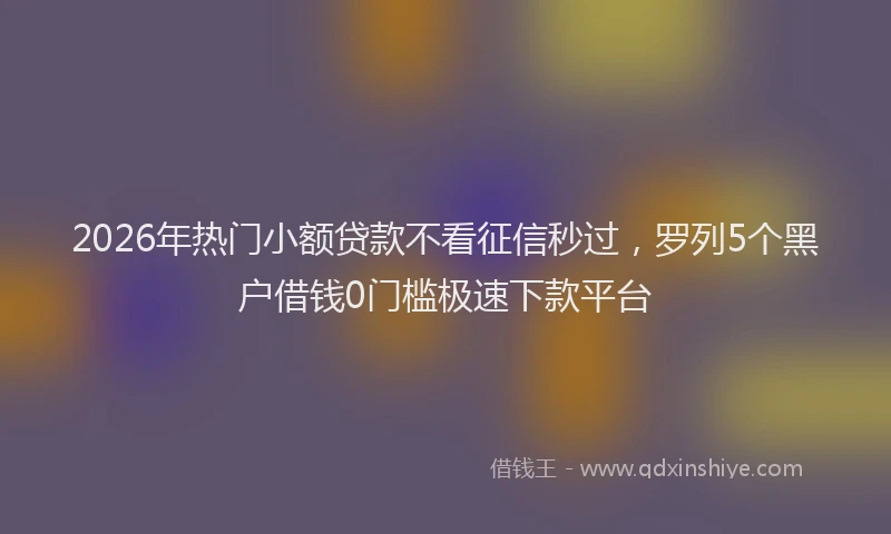 2026年热门小额贷款不看征信秒过，罗列5个黑户借钱0门槛极速下款平台