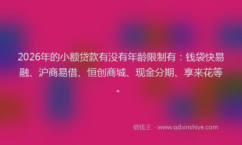 2026年的小额贷款有没有年龄限制有：钱袋快易融、沪商易借、恒创商城、现金分期、享来花等。