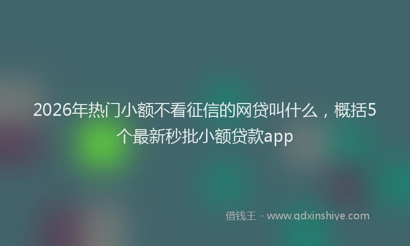 2026年热门小额不看征信的网贷叫什么，概括5个最新秒批小额贷款app