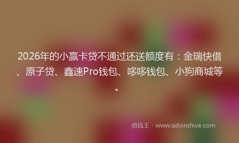 2026年的小赢卡贷不通过还送额度有：金瑞快借、原子贷、鑫速Pro钱包、哆哆钱包、小狗商城等。