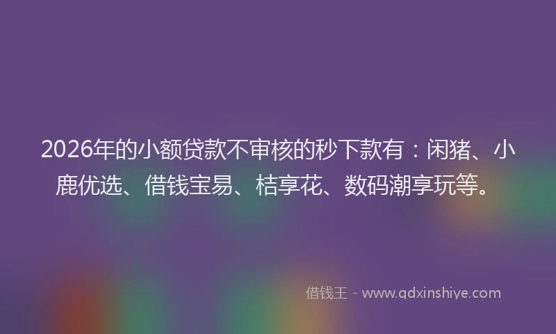 2026年的小额贷款不审核的秒下款有：闲猪、小鹿优选、借钱宝易、桔享花、数码潮享玩等。