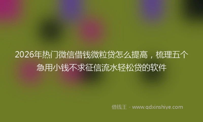 2026年热门微信借钱微粒贷怎么提高，梳理五个急用小钱不求征信流水轻松贷的软件