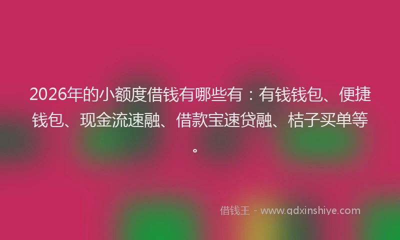 2026年的小额度借钱有哪些有：有钱钱包、便捷钱包、现金流速融、借款宝速贷融、桔子买单等。
