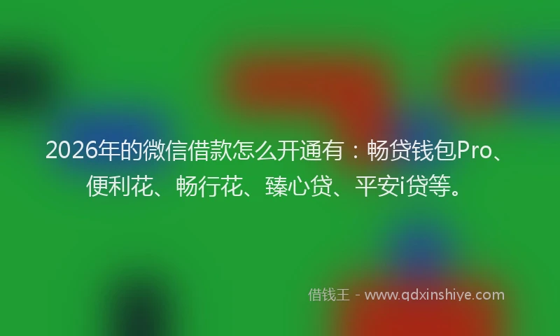 2026年的微信借款怎么开通有：畅贷钱包Pro、便利花、畅行花、臻心贷、平安i贷等。