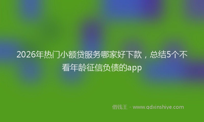 2026年热门小额贷服务哪家好下款，总结5个不看年龄征信负债的app