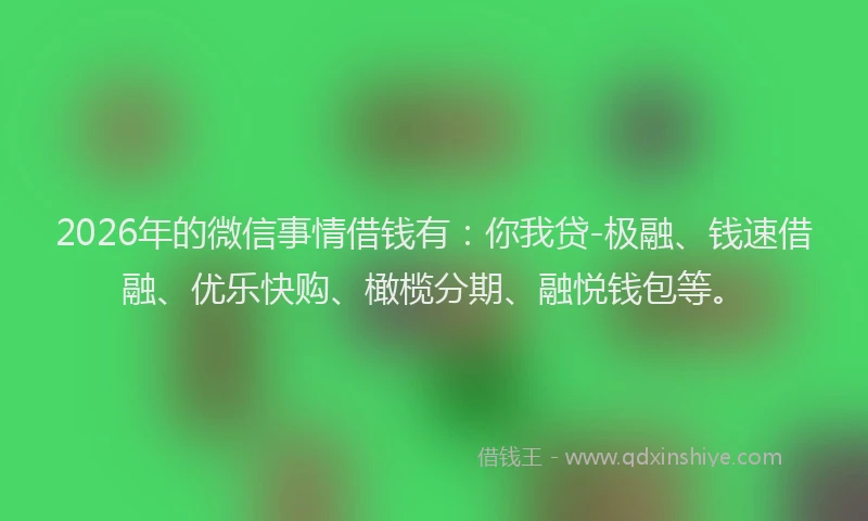 2026年的微信事情借钱有：你我贷-极融、钱速借融、优乐快购、橄榄分期、融悦钱包等。