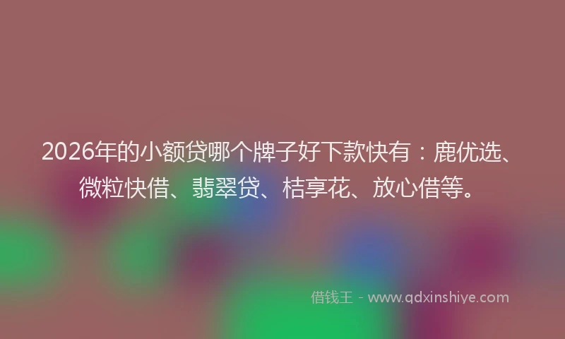 2026年的小额贷哪个牌子好下款快有：鹿优选、微粒快借、翡翠贷、桔享花、放心借等。