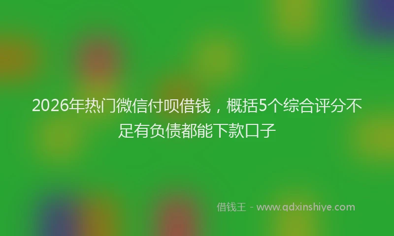 2026年热门微信付呗借钱，概括5个综合评分不足有负债都能下款口子