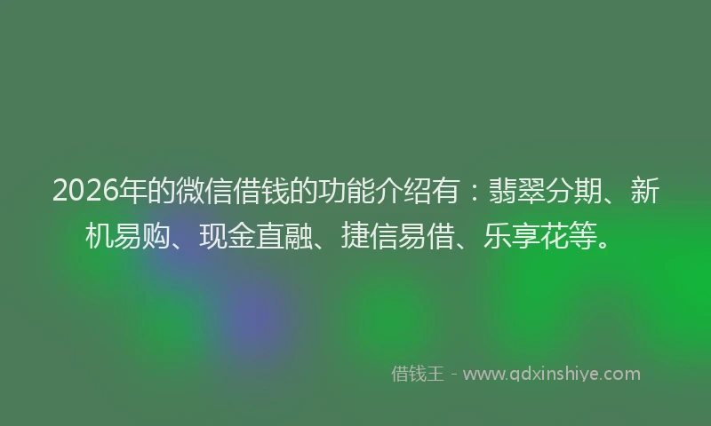 2026年的微信借钱的功能介绍有：翡翠分期、新机易购、现金直融、捷信易借、乐享花等。