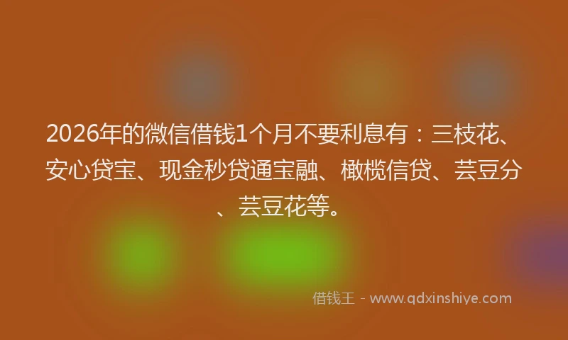 2026年的微信借钱1个月不要利息有：三枝花、安心贷宝、现金秒贷通宝融、橄榄信贷、芸豆分、芸豆花等。