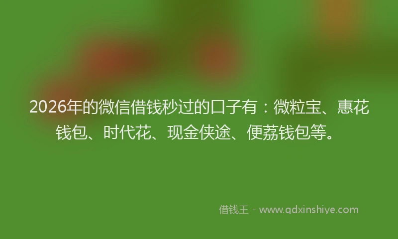 2026年的微信借钱秒过的口子有：微粒宝、惠花钱包、时代花、现金侠途、便荔钱包等。