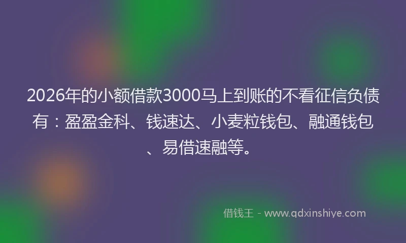 2026年的小额借款3000马上到账的不看征信负债有:盈盈金科、钱速达、小麦粒钱包、融通钱包、易借速融等。
