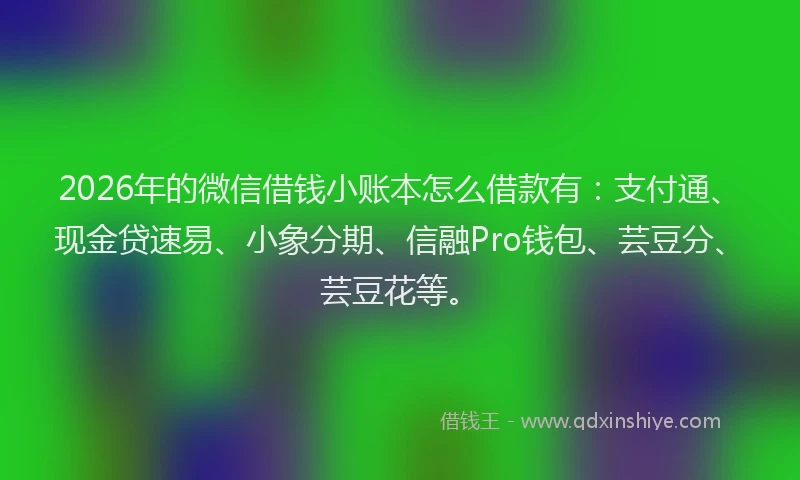 2026年的微信借钱小账本怎么借款有：支付通、现金贷速易、小象分期、信融Pro钱包、芸豆分、芸豆花等。