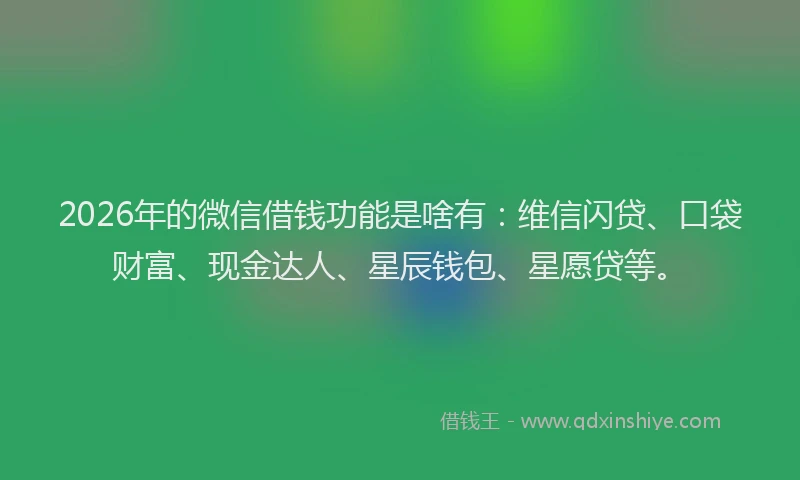 2026年的微信借钱功能是啥有:维信闪贷、口袋财富、现金达人、星辰钱包、星愿贷等。