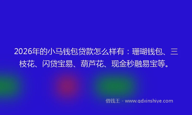 2026年的小马钱包贷款怎么样有：珊瑚钱包、三枝花、闪贷宝易、葫芦花、现金秒融易宝等。