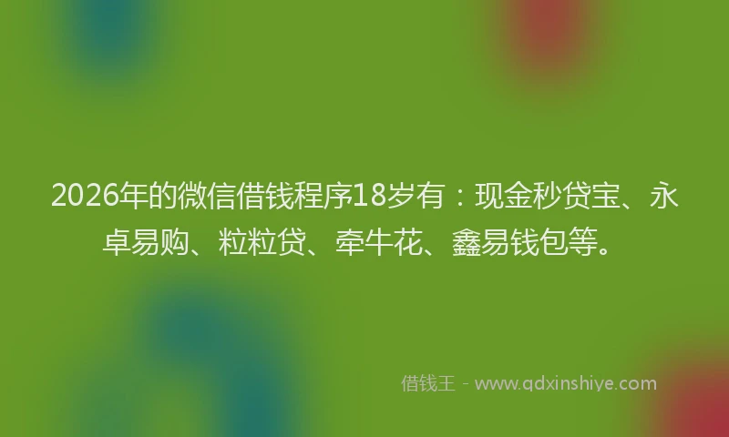 2026年的微信借钱程序18岁有：现金秒贷宝、永卓易购、粒粒贷、牵牛花、鑫易钱包等。