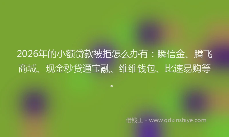 2026年的小额贷款被拒怎么办有：瞬信金、腾飞商城、现金秒贷通宝融、维维钱包、比速易购等。