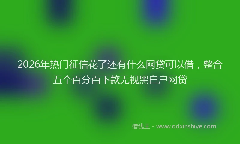 2026年热门征信花了还有什么网贷可以借，整合五个百分百下款无视黑白户网贷