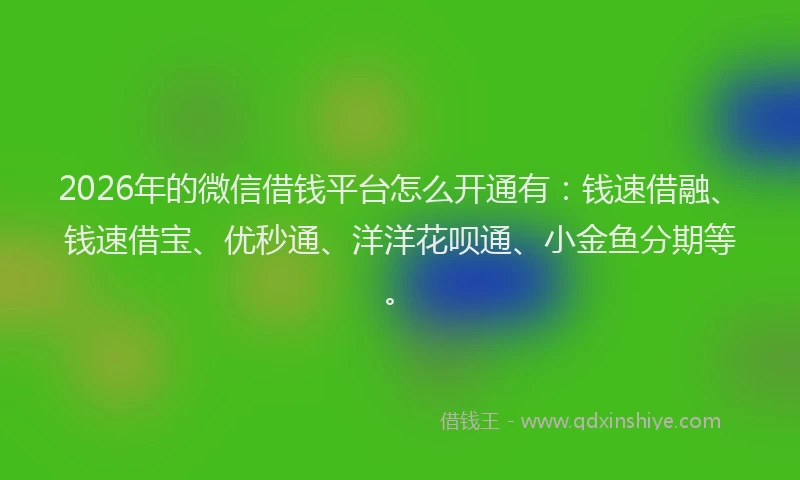 2026年的微信借钱平台怎么开通有：钱速借融、钱速借宝、优秒通、洋洋花呗通、小金鱼分期等。