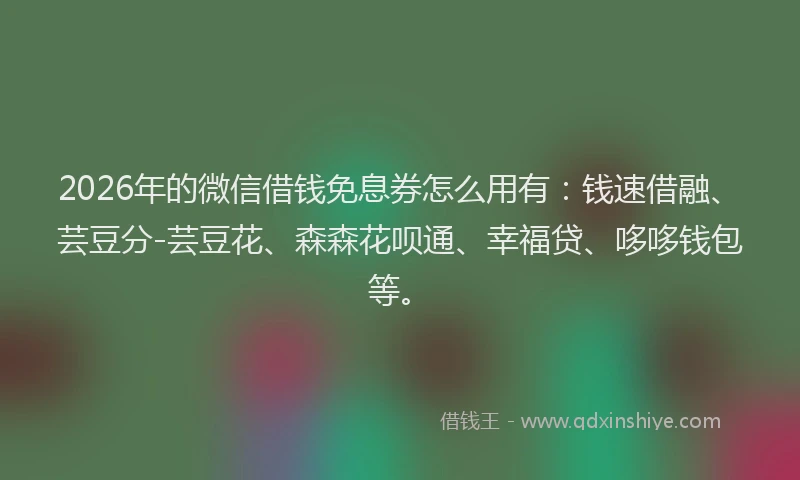 2026年的微信借钱免息券怎么用有：钱速借融、芸豆分-芸豆花、森森花呗通、幸福贷、哆哆钱包等。