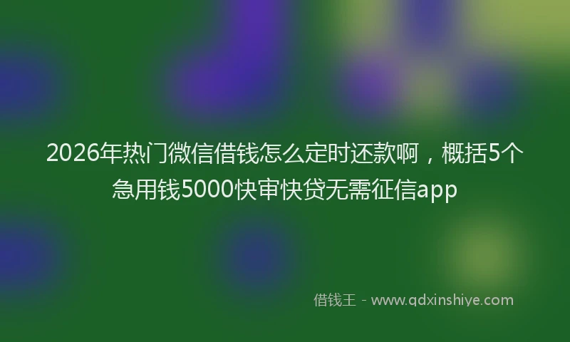 2026年热门微信借钱怎么定时还款啊，概括5个急用钱5000快审快贷无需征信app