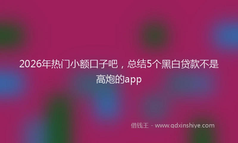 2026年热门小额口子吧，总结5个黑白贷款不是高炮的app