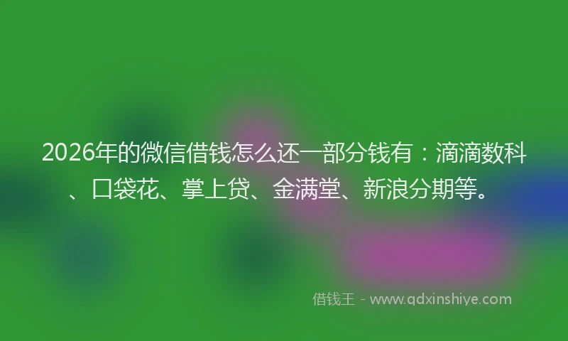 2026年的微信借钱怎么还一部分钱有:滴滴数科、口袋花、掌上贷、金满堂、新浪分期等。