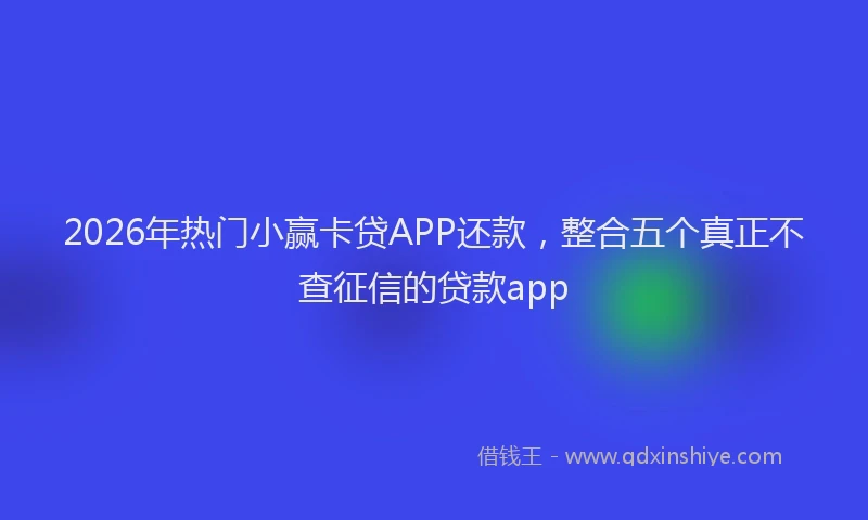 2026年热门小赢卡贷APP还款，整合五个真正不查征信的贷款app