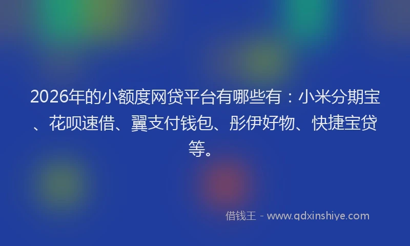 2026年的小额度网贷平台有哪些有：小米分期宝、花呗速借、翼支付钱包、彤伊好物、快捷宝贷等。