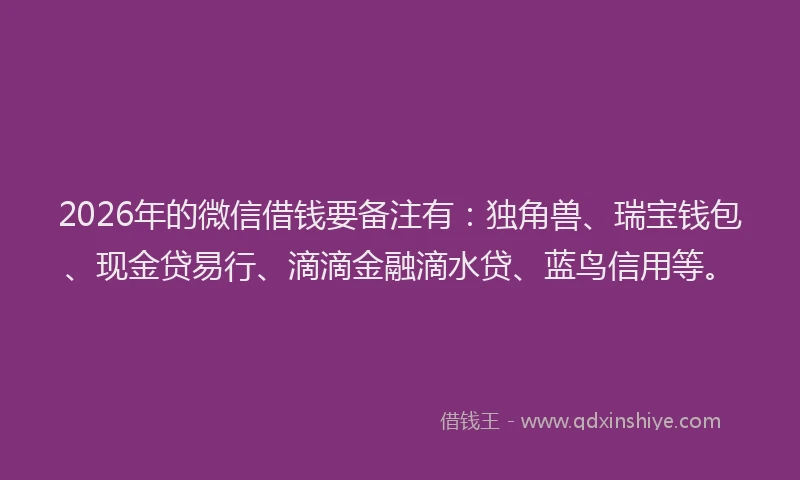 2026年的微信借钱要备注有：独角兽、瑞宝钱包、现金贷易行、滴滴金融滴水贷、蓝鸟信用等。