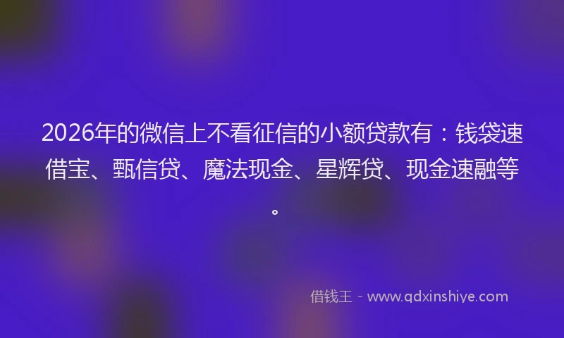 2026年的微信上不看征信的小额贷款有：钱袋速借宝、甄信贷、魔法现金、星辉贷、现金速融等。
