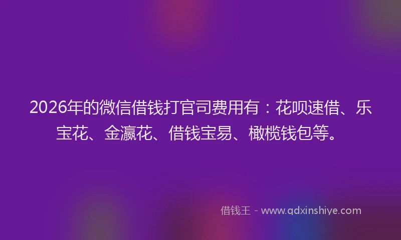 2026年的微信借钱打官司费用有：花呗速借、乐宝花、金瀛花、借钱宝易、橄榄钱包等。