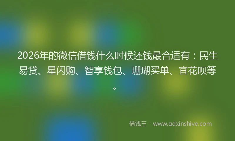 2026年的微信借钱什么时候还钱最合适有：民生易贷、星闪购、智享钱包、珊瑚买单、宜花呗等。