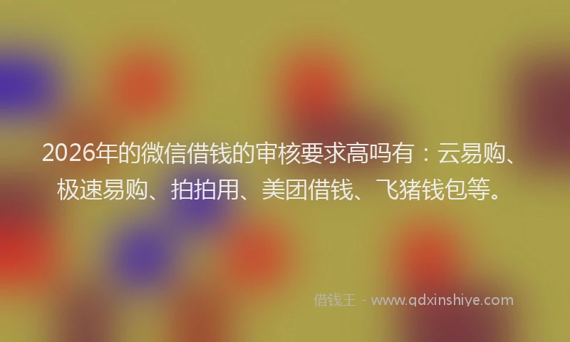 2026年的微信借钱的审核要求高吗有：云易购、极速易购、拍拍用、美团借钱、飞猪钱包等。