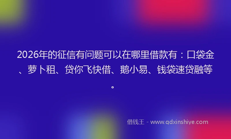 2026年的征信有问题可以在哪里借款有：口袋金、萝卜租、贷你飞快借、鹅小易、钱袋速贷融等。