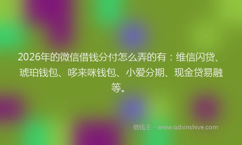 2026年的微信借钱分付怎么弄的有：维信闪贷、琥珀钱包、哆来咪钱包、小爱分期、现金贷易融等。
