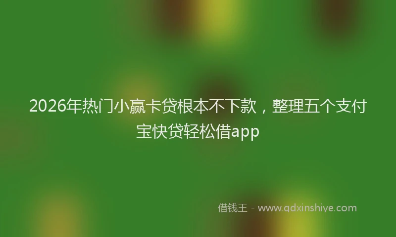2026年热门小赢卡贷根本不下款，整理五个支付宝快贷轻松借app