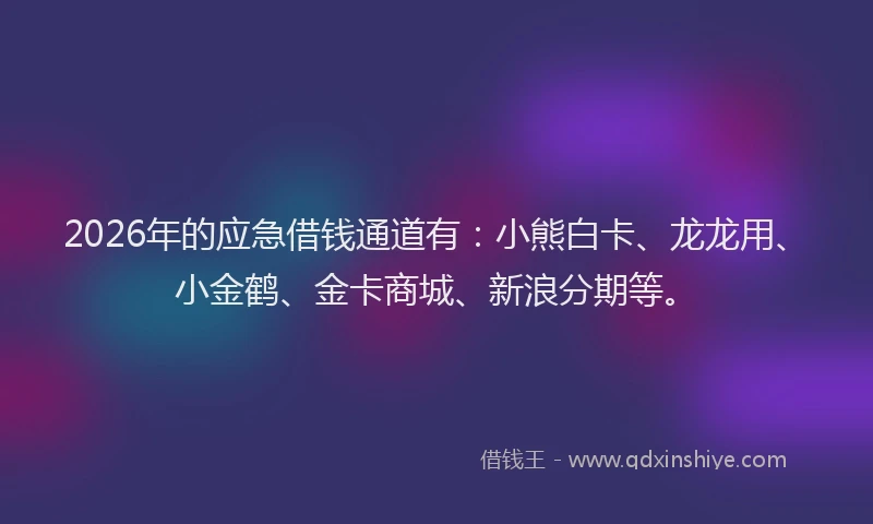 2026年的应急借钱通道有：小熊白卡、龙龙用、小金鹤、金卡商城、新浪分期等。