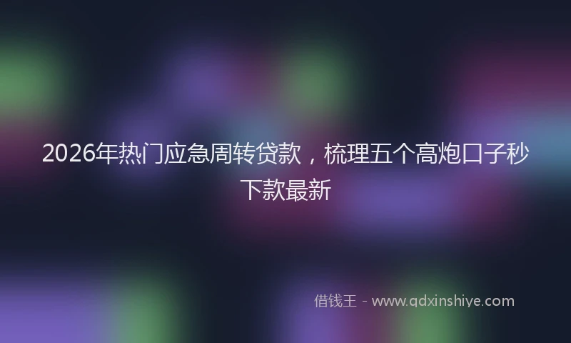 2026年热门应急周转贷款，梳理五个高炮口子秒下款最新