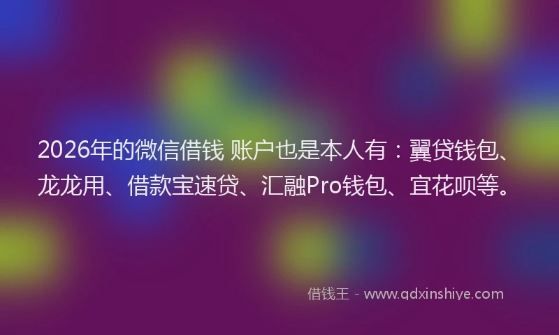 2026年的微信借钱 账户也是本人有：翼贷钱包、龙龙用、借款宝速贷、汇融Pro钱包、宜花呗等。